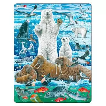 Larsen Пазл "Полярный медведь", 46 элементов