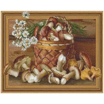 Molly Алмазная мозаика 3D с нанесенной рамкой "Бузин. Натюрморт с грибами", 40х50 см