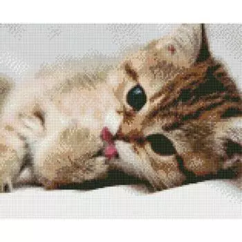 Molly Алмазная мозаика "После обеда", 40х50 см