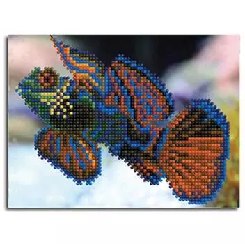 Molly Алмазная мозаика "Радужная рыбка", 15х20 см