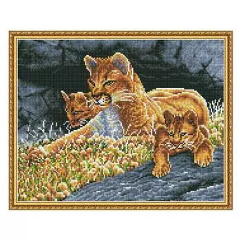 Molly Алмазная мозаика "Урок наблюдательности", 40х50 см