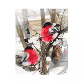 Molly Картина по номерам на дереве "Дыхание зимы", 40x50 см