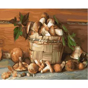 Molly Картина по номерам "Бузин. Деревенский натюрморт", 40x50 см