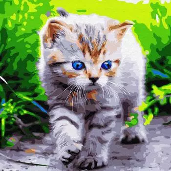 Molly Картина по номерам "Голубоглазое чудо", 30x30 см