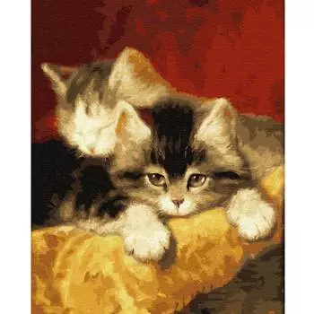 Molly Картина по номерам "Котята", 40x50 см