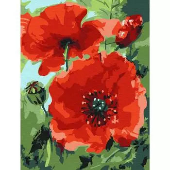 Molly Картина по номерам "Маки", 15x20 см