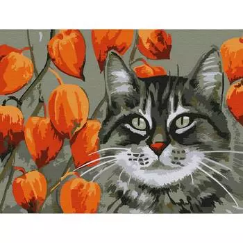 Molly Картина по номерам "Мечтатель", 15x20 см