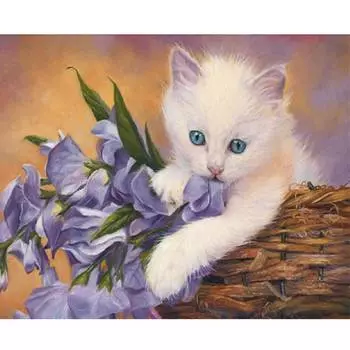 Molly Картина по номерам "Неженка", 40x50 см