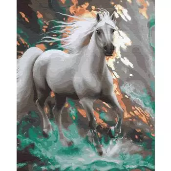 Molly Картина по номерам "Стремительный", 40x50 см