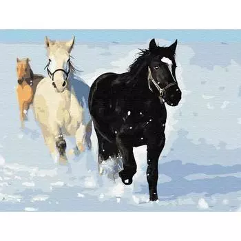 Molly Картина по номерам с цветной схемой на холсте "По первому снегу", 30х40 см