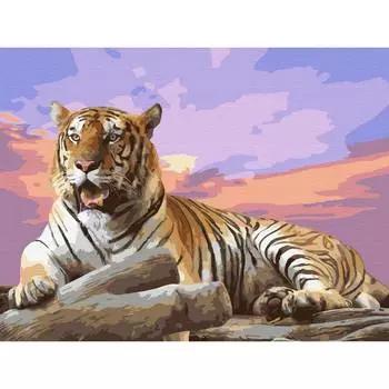 Molly Картина по номерам с цветной схемой на холсте "На закате", 30х40 см