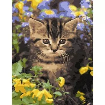 Molly Картина по номерам с цветной схемой на холсте "Новые ароматы", 30х40 см