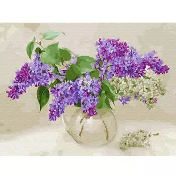 Molly Картина по номерам с цветной схемой на холсте "Бузин. Ветки сирени", 30x40 см