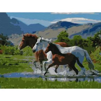 Molly Картина по номерам с цветной схемой на холсте "Вольный ветер", 30х40 см