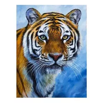 Molly Набор юного художника "Глаза тигра", 20х30 см