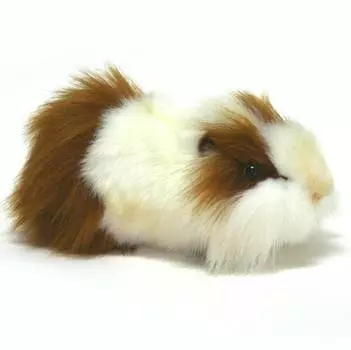 Мягкая игрушка Hansa "Морская свинка бело-рыжая", 30 см