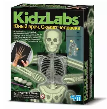 Набор 4M 00-03375 Юный врач. Скелет человека