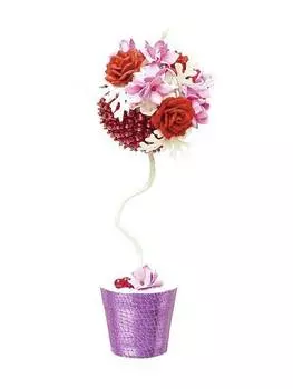 Набор для творчества ВОЛШЕБНАЯ МАСТЕРСКАЯ ТП-11 Топиарий Танго