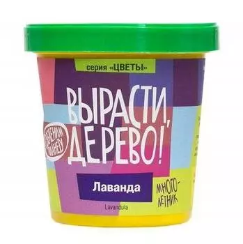 Набор ВЫРАСТИ ДЕРЕВО! zk-030 Лаванда