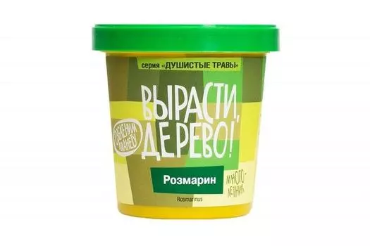 Набор ВЫРАСТИ ДЕРЕВО! zk-036 Розмарин