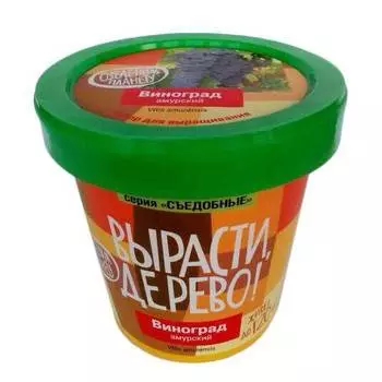 ВЫРАСТИ ДЕРЕВО! Набор для выращивания Виноград Амурский, zk-057