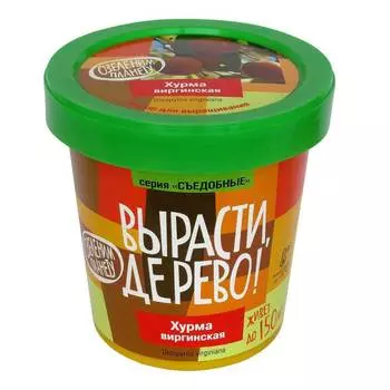 Набор ВЫРАСТИ ДЕРЕВО! zk-085 Хурма виргинская