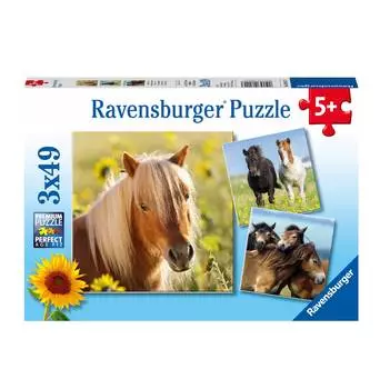 Ravensburger Пазл "Пони", 3х49 элементов