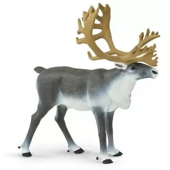 Safari Ltd. Фигурка "Северный олень", 182229