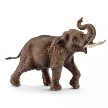 Schleich Фигурка "Азиатский слон, самец"