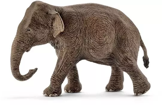 Schleich Фигурка "Азиатский слон, самка"