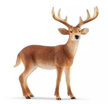 Schleich Фигурка "Белохвостый олень-самец"