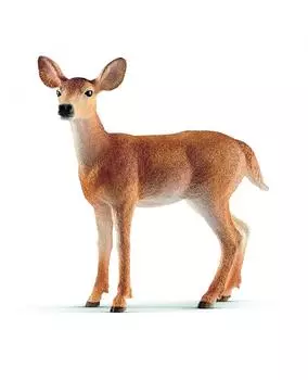 Schleich Фигурка "Белохвостый олень-самка"