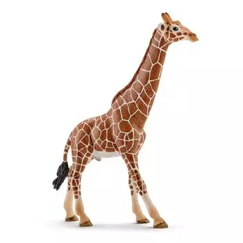 Schleich Фигурка "Самец жирафа"