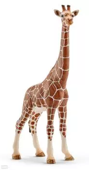 Schleich Фигурка "Самка жирафа"