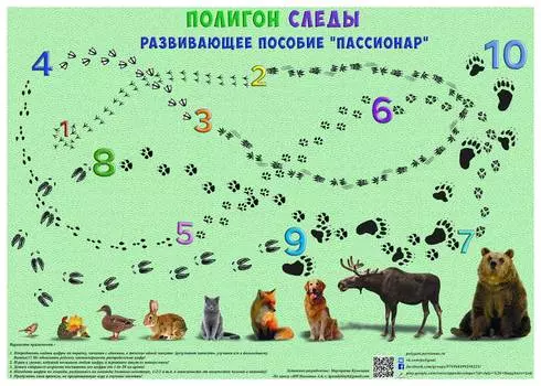 Ступеньки творчества Развивающие полигоны Пассионар. Полигон "Следы"