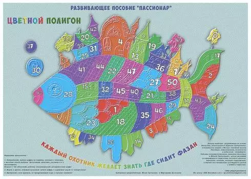 Ступеньки творчества Развивающие полигоны Пассионар. "Цветной полигон"