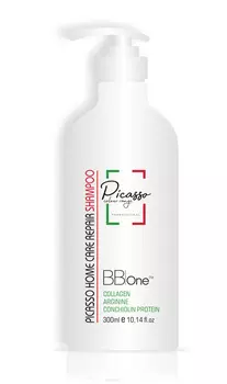 BB One, Шампунь Picasso Home Care Repair Shampoo, 60 мл