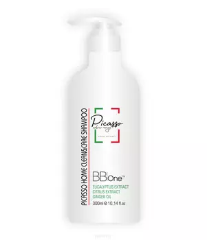 BB One, Шампунь Picasso Home Clean&amp;Care Shampoo, 60 мл