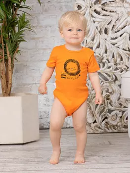 Боди детское iv74070