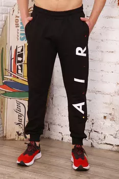 Брюки мужские iv74311