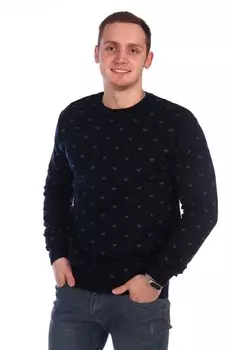Джемпер мужской iv55129