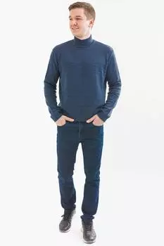 Джемпер мужской iv60199