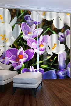 Фотошторы iv58881 300х255