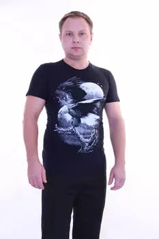 Футболка мужская iv20225