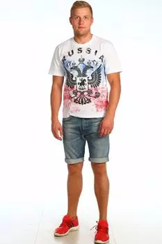 Футболка мужская iv28843