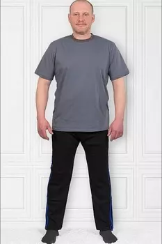 Футболка мужская iv30685