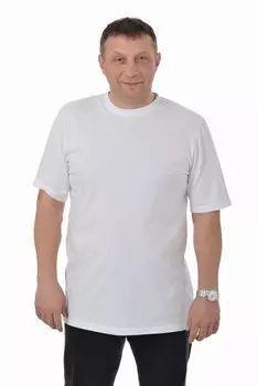 Футболка мужская iv32254