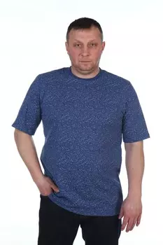 Футболка мужская iv32263