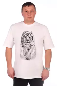 Футболка мужская iv46409