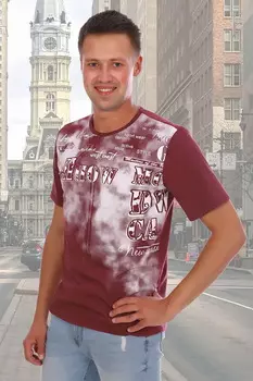 Футболка мужская iv49916